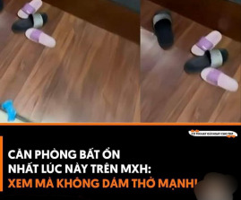 Video Đánh Ghen Căn Phòng Bất Ổn Nhất Trên MXH  ( Xem Mà Không Dám Thwor Mạnh )